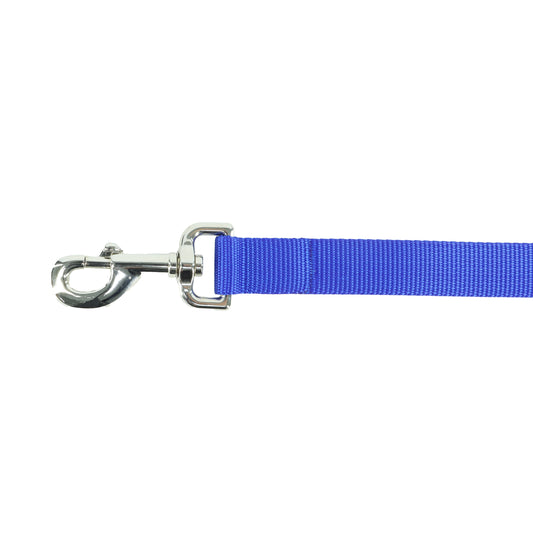 COASTAL BLUE LEAD 3/8X6'