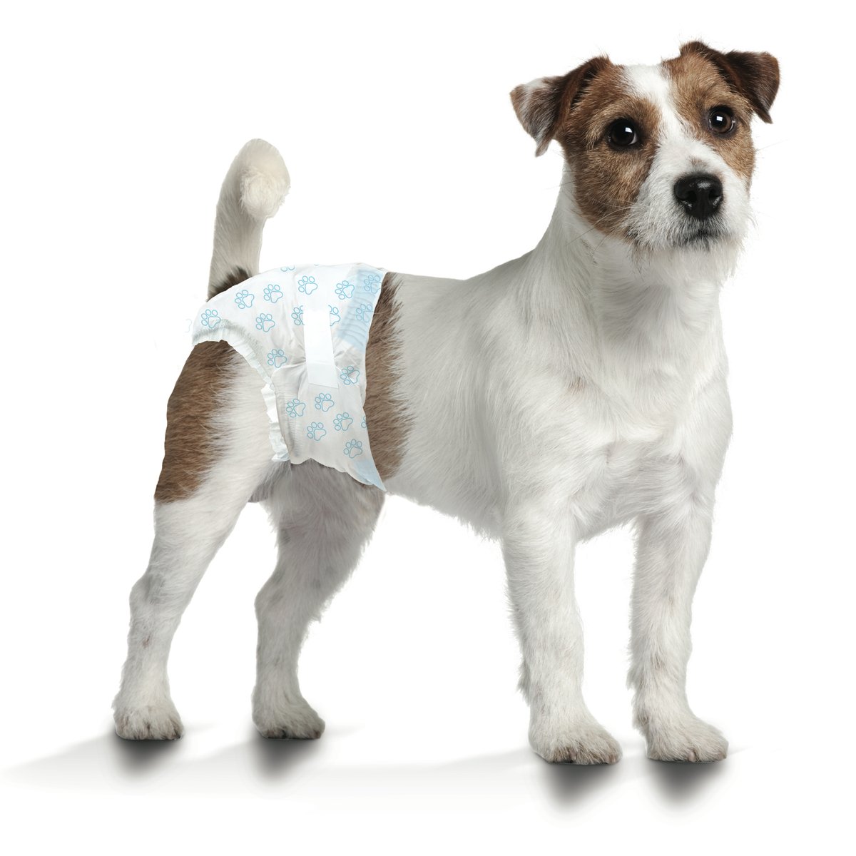 FOU DISPOSABLE DIAPER S 12PK