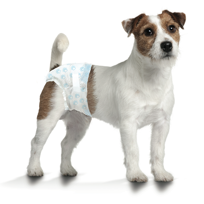 FOU DISPOSABLE DIAPER S 12PK