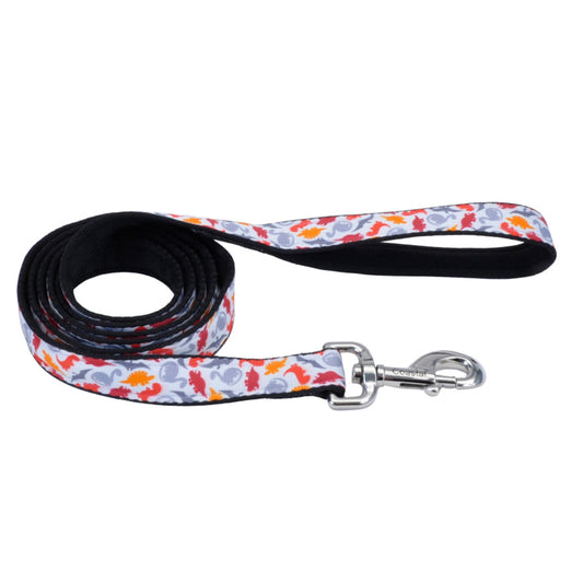 COASTAL 5/8X6' LEASH AD