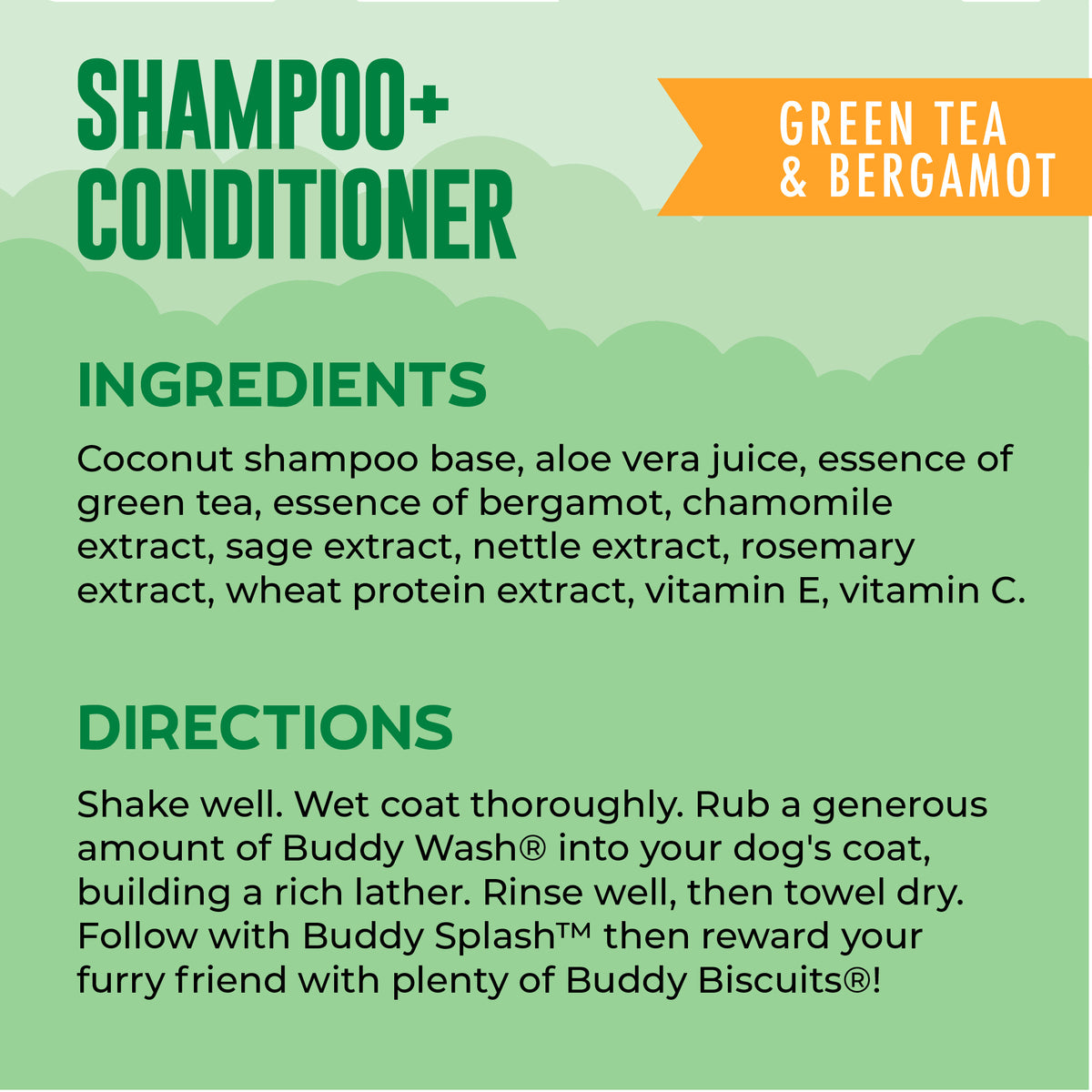 BUDDY WASH 2 IN 1 GRN TEA 16Z