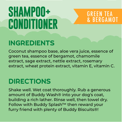 BUDDY WASH 2 IN 1 GRN TEA 16Z