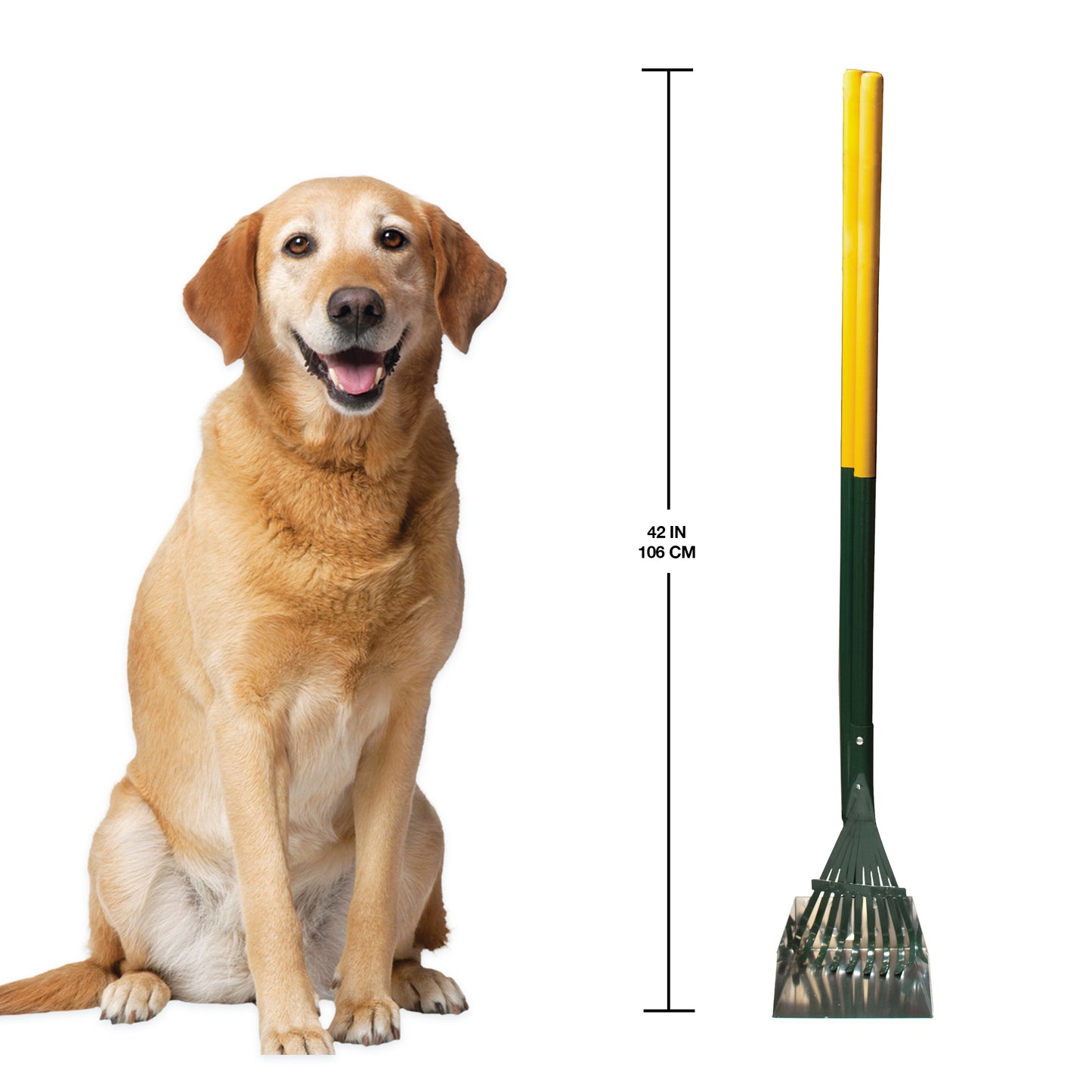 FOUR PAWS POOP SCPR RAKE METAL