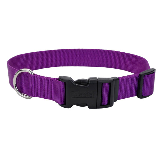COASTAL 5/8" TUFF COLLAR PURP