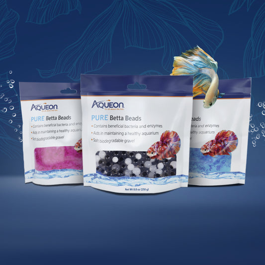 AQE BETTA COND BEADS BK/WH