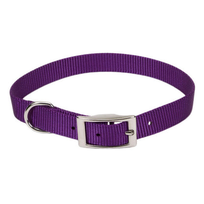 COASTAL 1" PURPLE CLR 18"