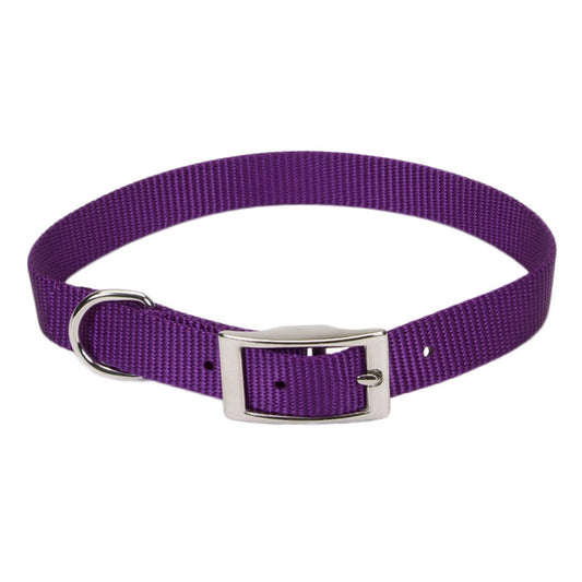COASTAL 1" PURPLE CLR 18"