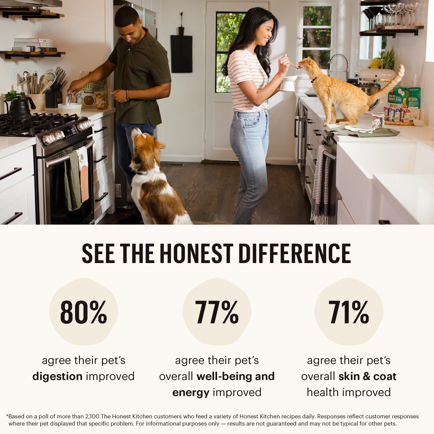 HONEST KITCHEN DHY GF EMBARK