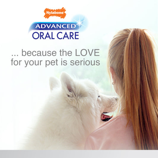 NYLABONE SR DENTAL KIT S