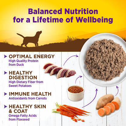 WELLNESS DUCK & SWT POT 12.5Z