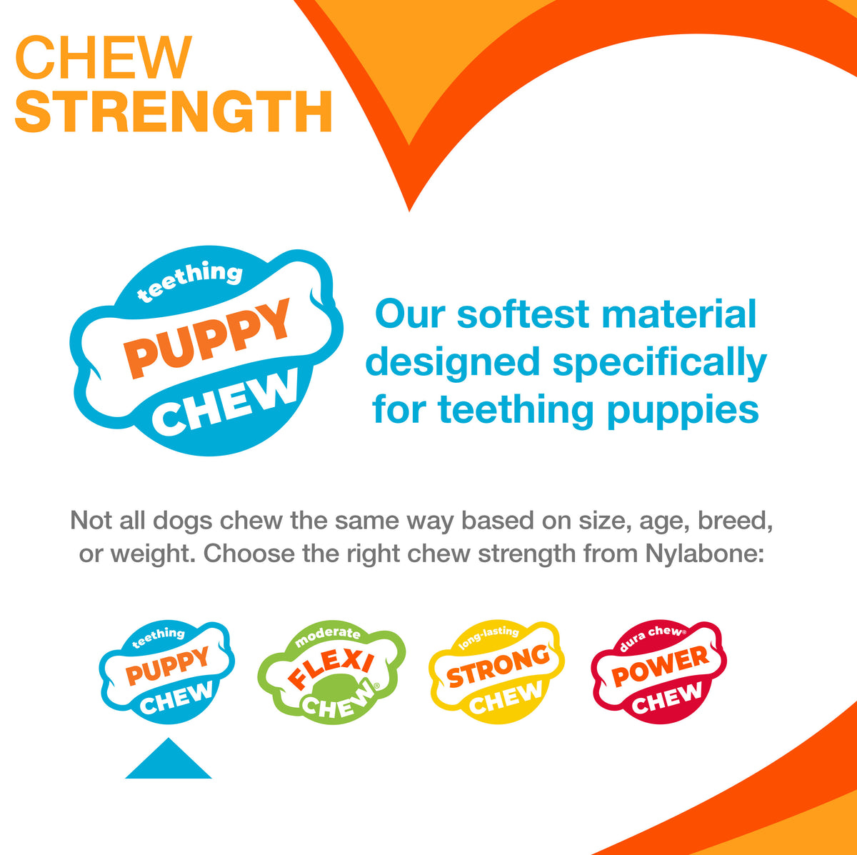 NYLA DURA CHEW PUPPY RB BL