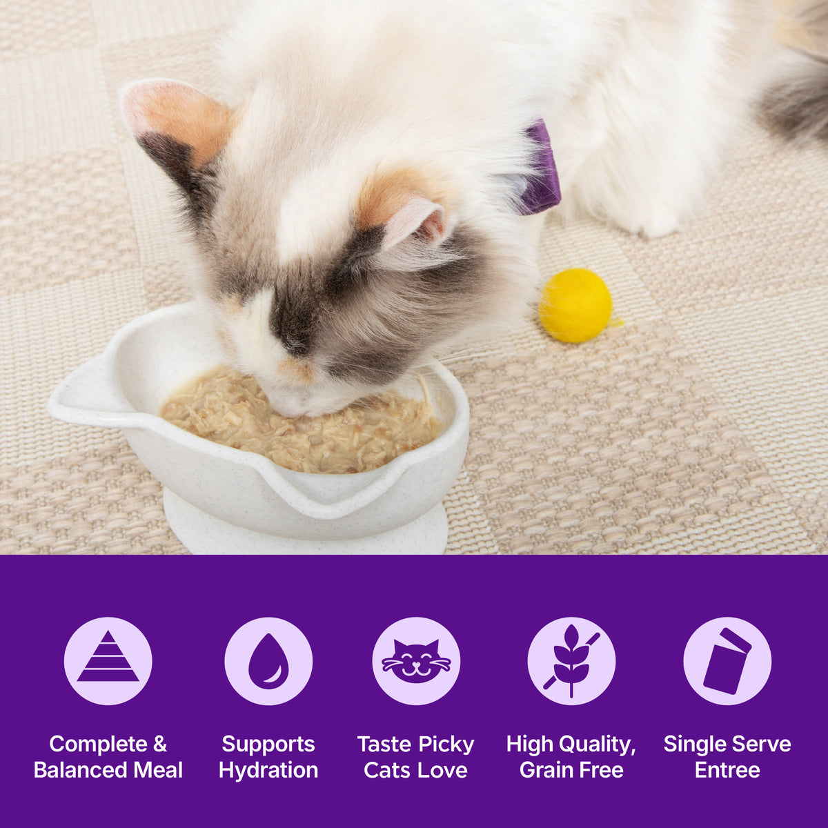WELLNESS ENTREE FLKD TUNA/TIL