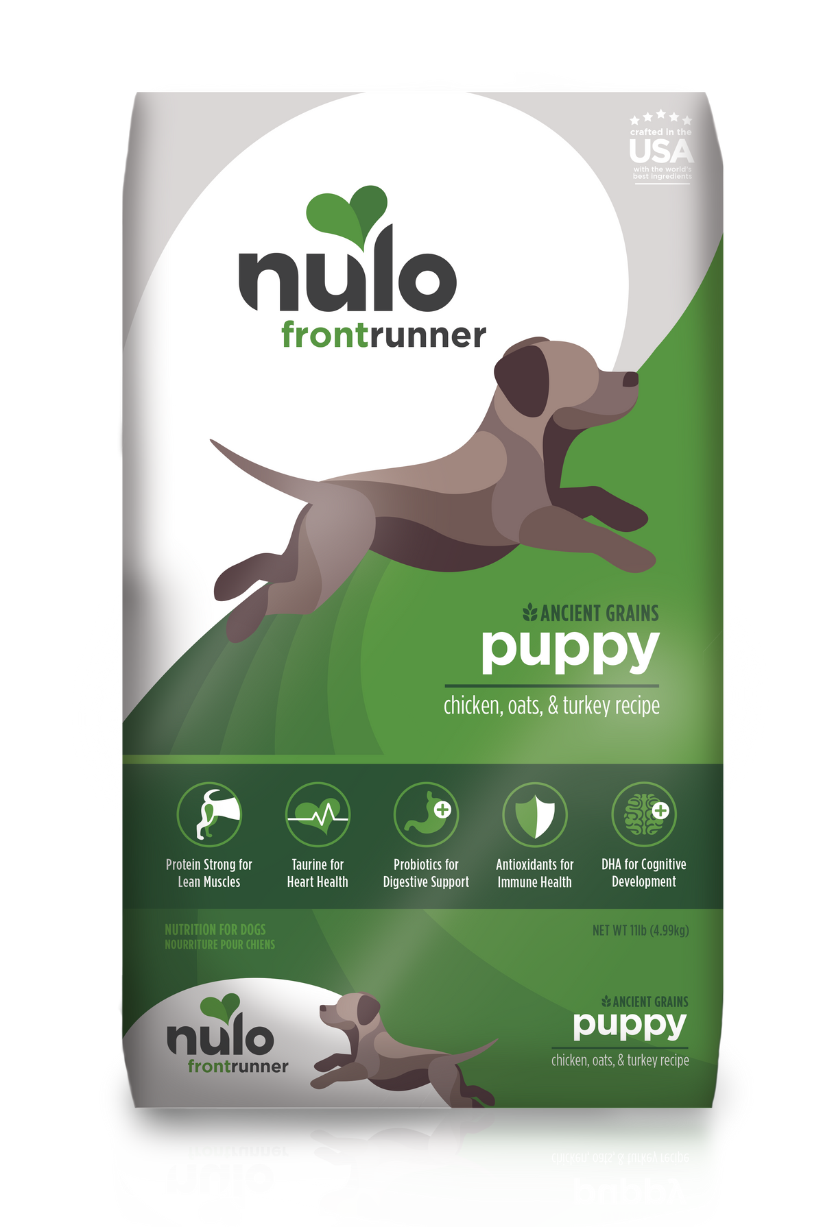NULO FRONTRUNNER PUPPY 11#