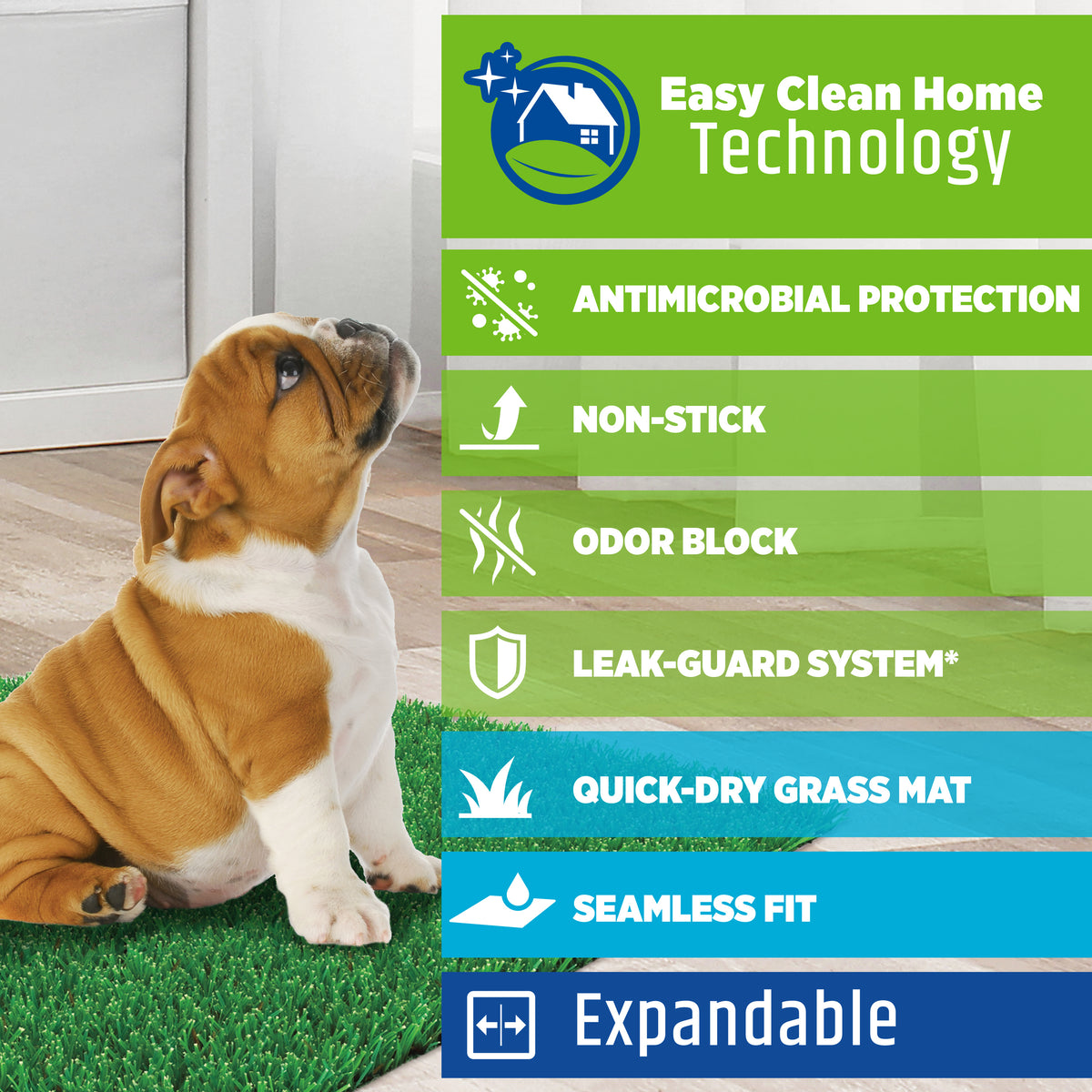 FOUR PAWS WEE WEE POTTY PATCH