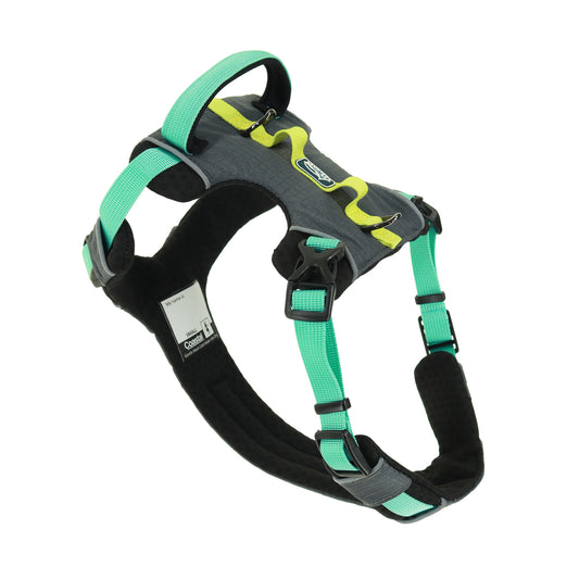 K9 TREK 1" HARNESS BOU XL