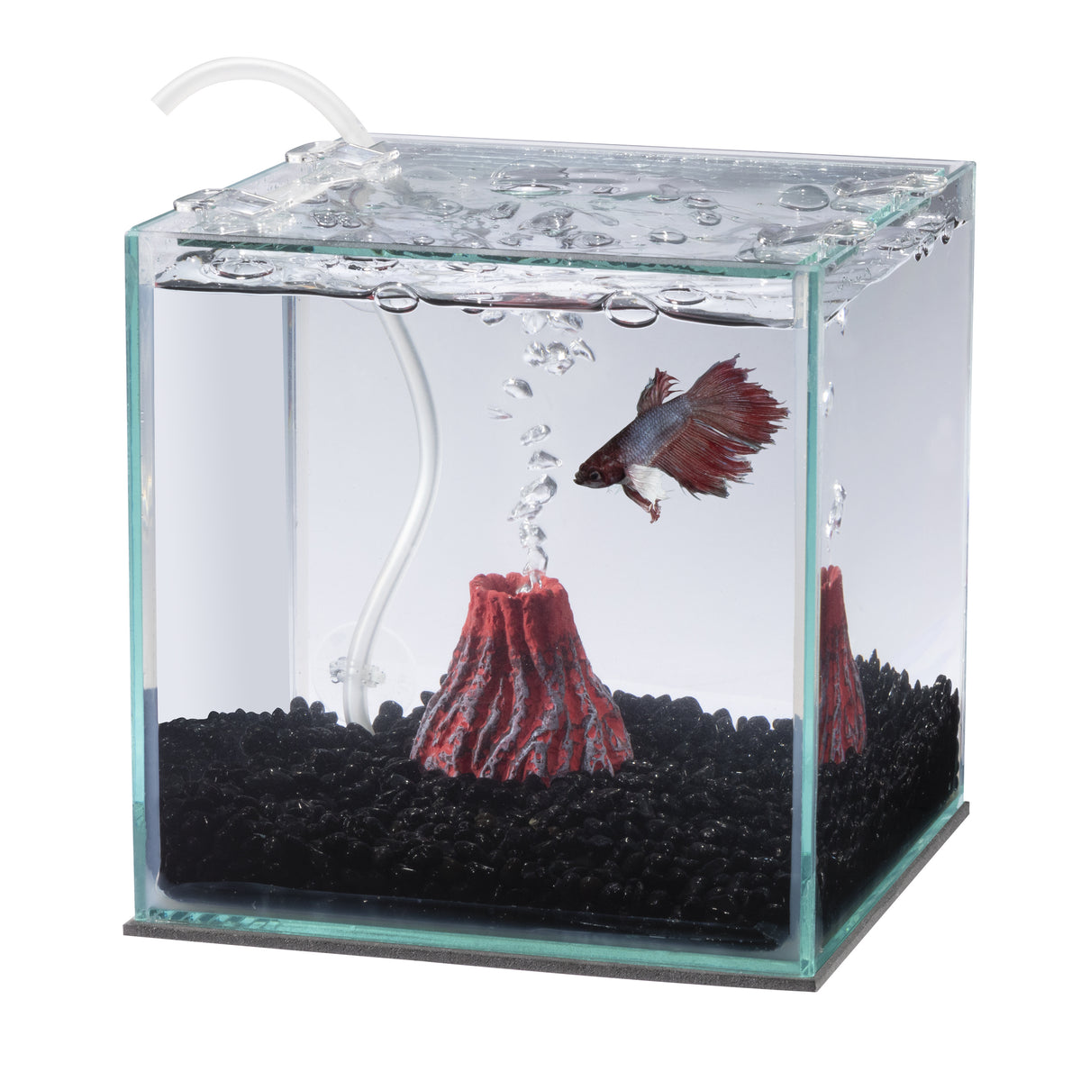AQE CARTRIDGE FILTER BETTA 2PK