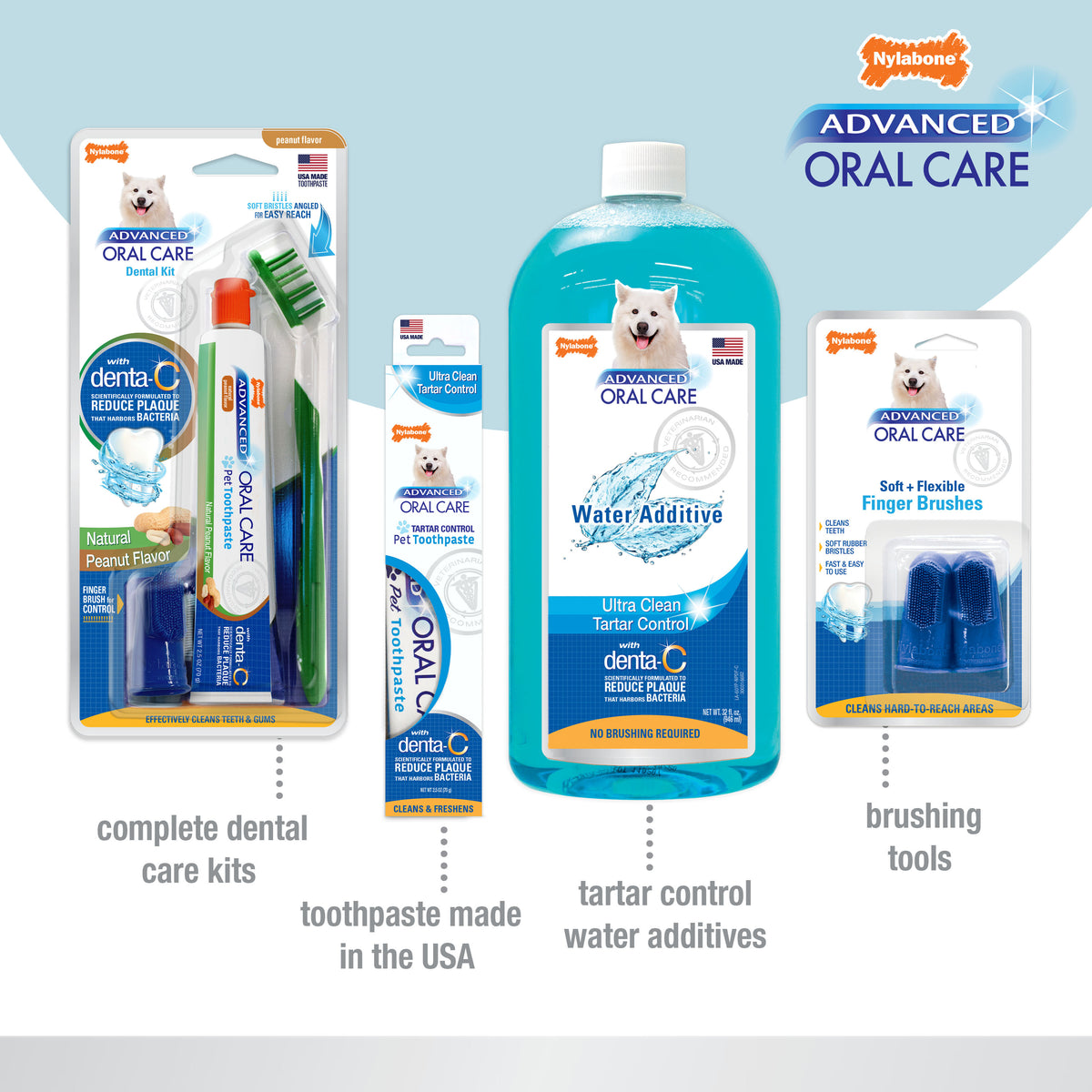 NYLABONE SR DENTAL KIT S