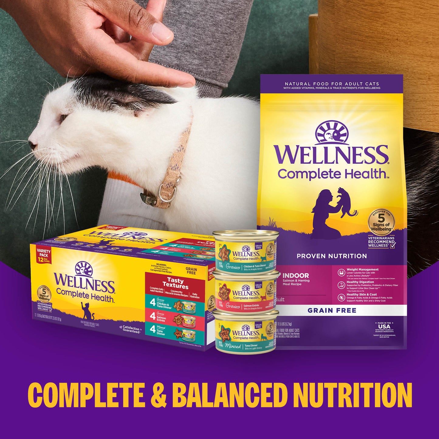 WELLNESS CAT CHIK CAN 12.5Z
