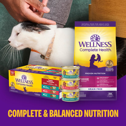 WELLNESS CAT CHIK CAN 12.5Z