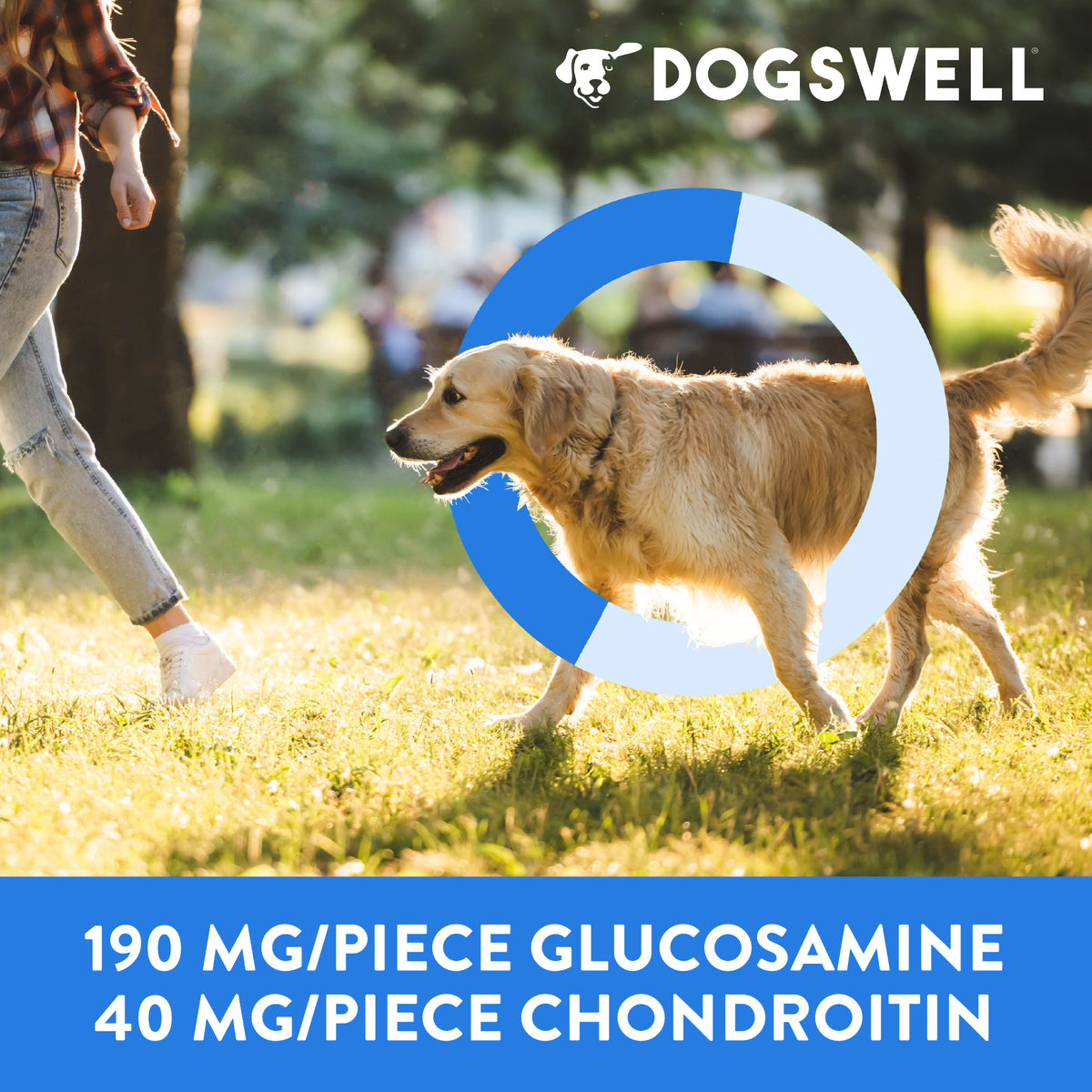 DOGSWELL H&J SOFT CH TRT 14Z
