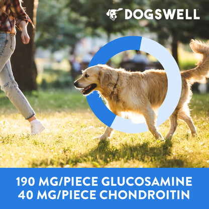 DOGSWELL H&J SOFT CH TRT 14Z