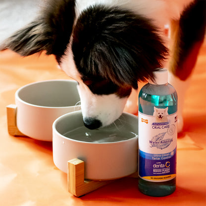 NYLABONE ORAL ADV LIQUID FRSH