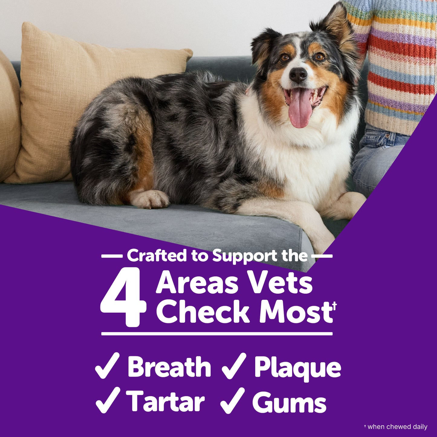 WHIMZEE STIX LG DENTAL CHEW