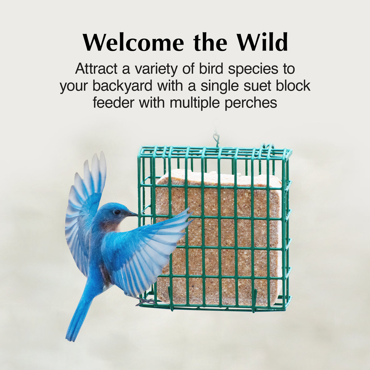 C&S SUET EZ FILL FEEDER BASKET