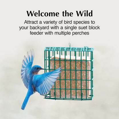 C&S SUET EZ FILL FEEDER BASKET