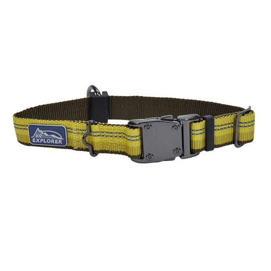 COASTAL ADJ CLR GOLDNROD 18"
