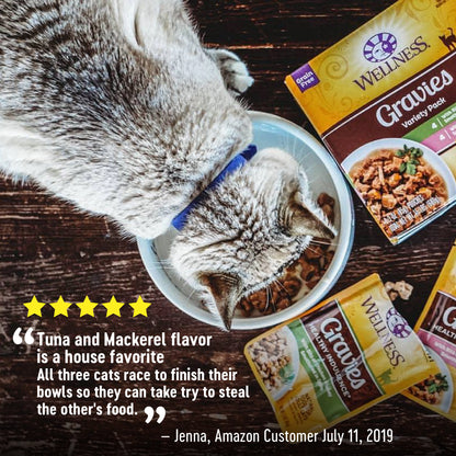 WELLNESS HLTHY INDUL GRVY TUNA