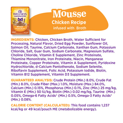 WELLNESS ENTREE MOUSSE CH 1.4Z