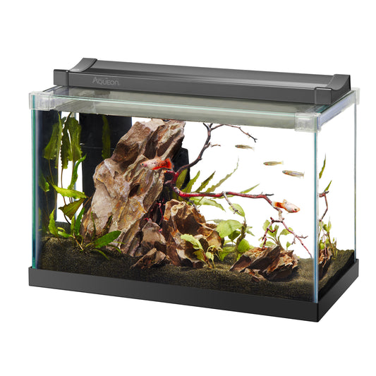 AQE RIMLESS TANK RECT 2.5G