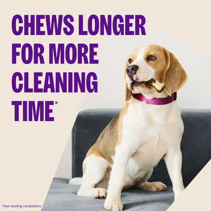 WHIMZEE STIX LG DENTAL CHEW