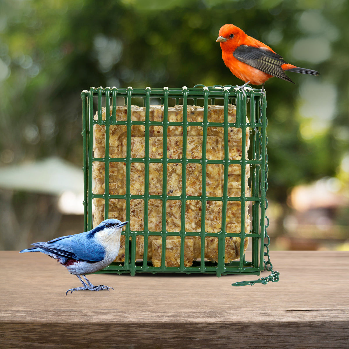 C&S SUET EZ FILL FEEDER BASKET