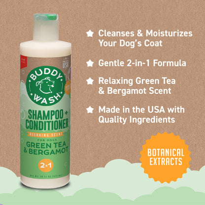 BUDDY WASH 2 IN 1 GRN TEA 16Z