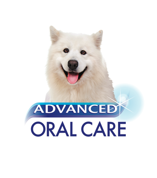 NYLABONE DENTAL FINGER BRSH 2