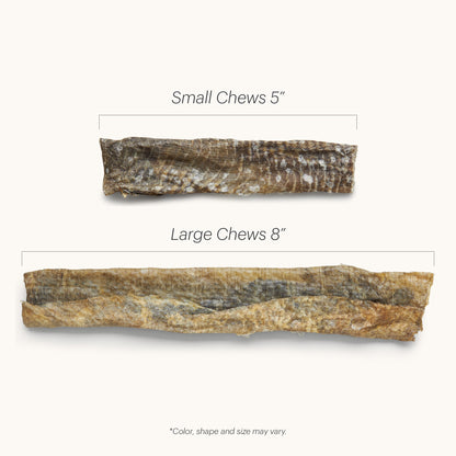 HONEST KITCHEN BEAMS FISH 2.75