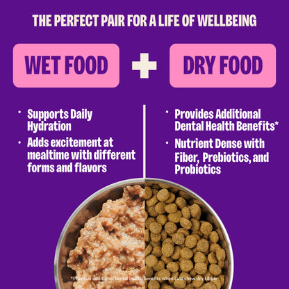 WELLNESS KITTEN 3 OZ CN
