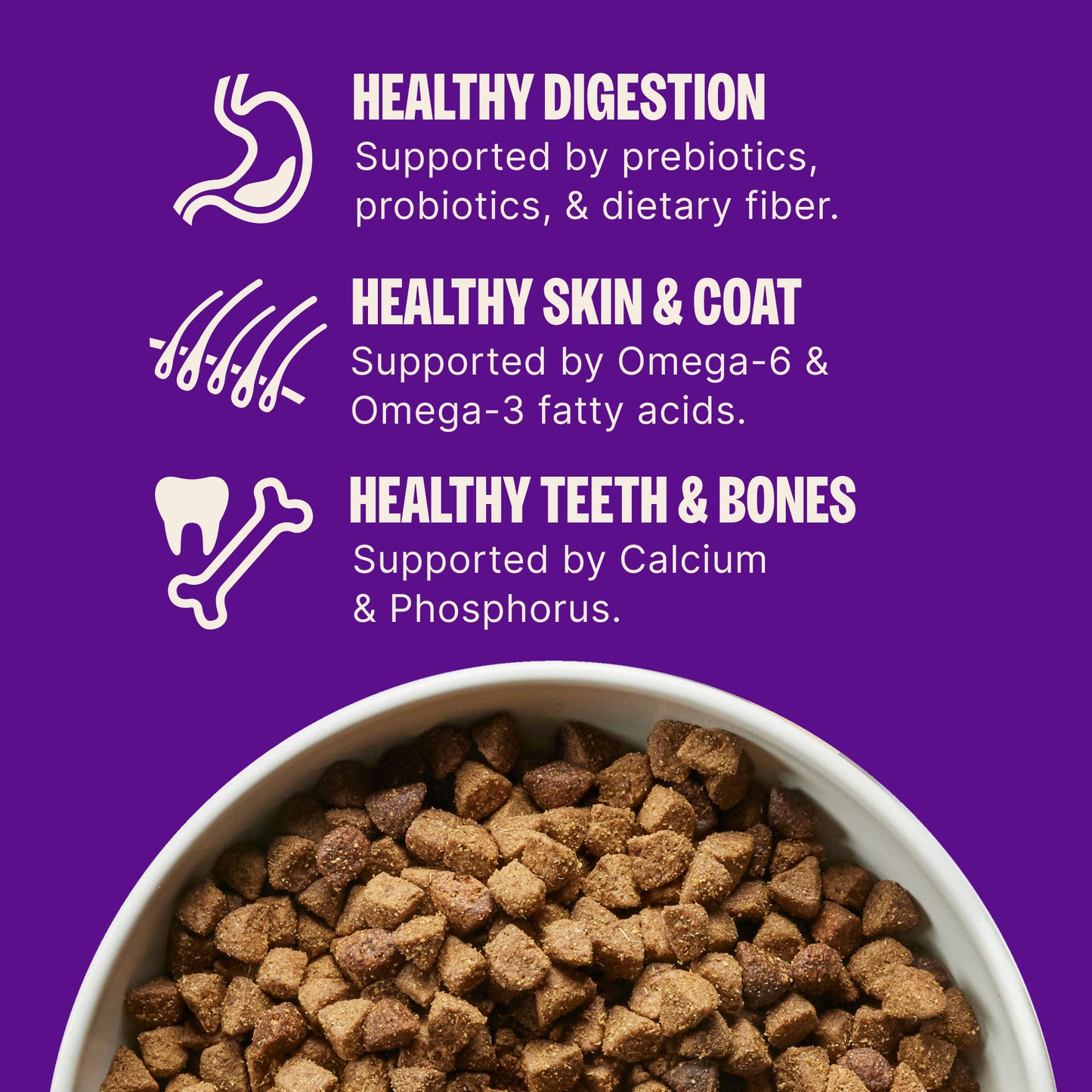Wellness Complete Health Whitefish & Sweet Potato Dry Dog Food — 15 lb