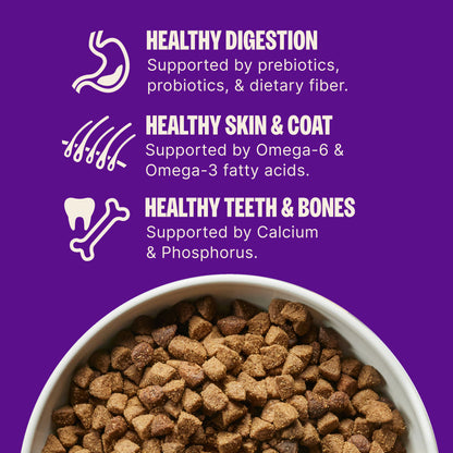 Wellness Complete Health Whitefish & Sweet Potato Dry Dog Food — 15 lb