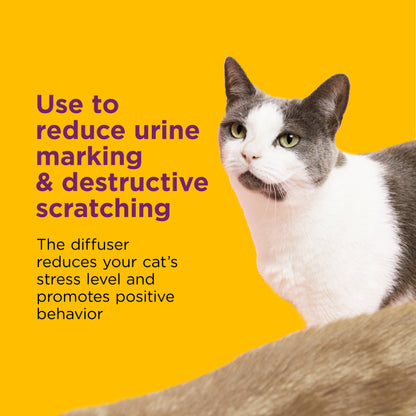 FAR KIT COMF ZONE CAT CALM 2PK