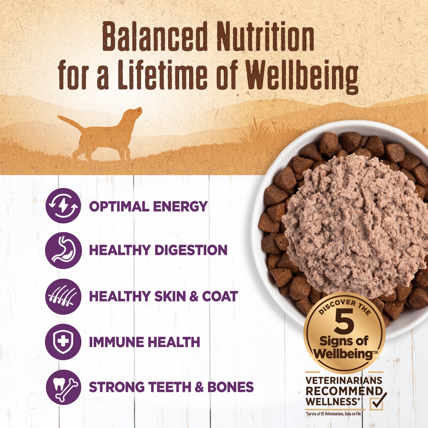 WELLNESS 95% CHICKEN 13.2OZ