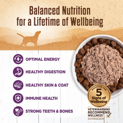 WELLNESS 95% CHICKEN 13.2OZ