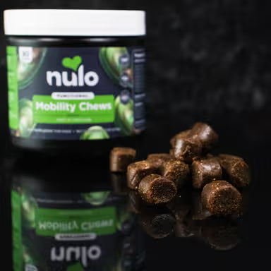 NULO MOBILITY CHEW SUPP 9.5Z
