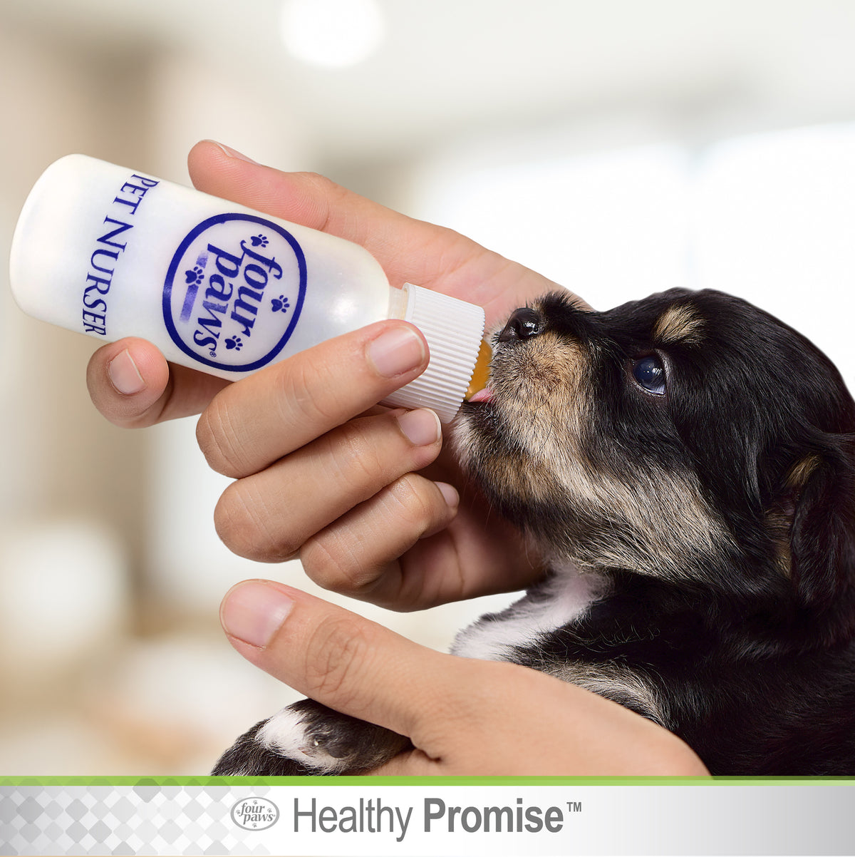 FOUR PAWS NURSER BOTTLE 2Z