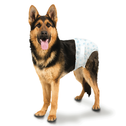 FOUR PAWS DIAPER LG disposible
