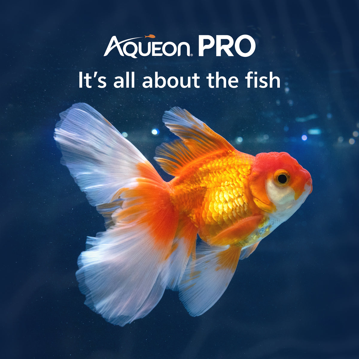 AQUEON PWR FILTER 30