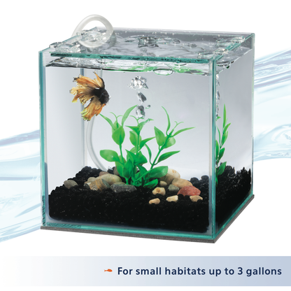 AQE FILTER BETTA W/NAT PLANT