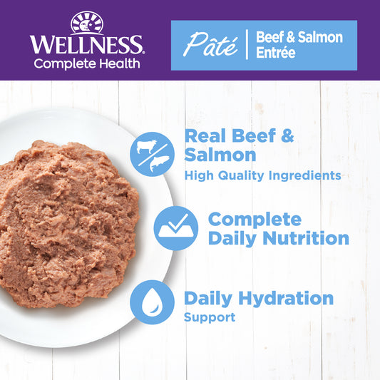 WELLNESS BF/SAL CAT 12.5 OZ